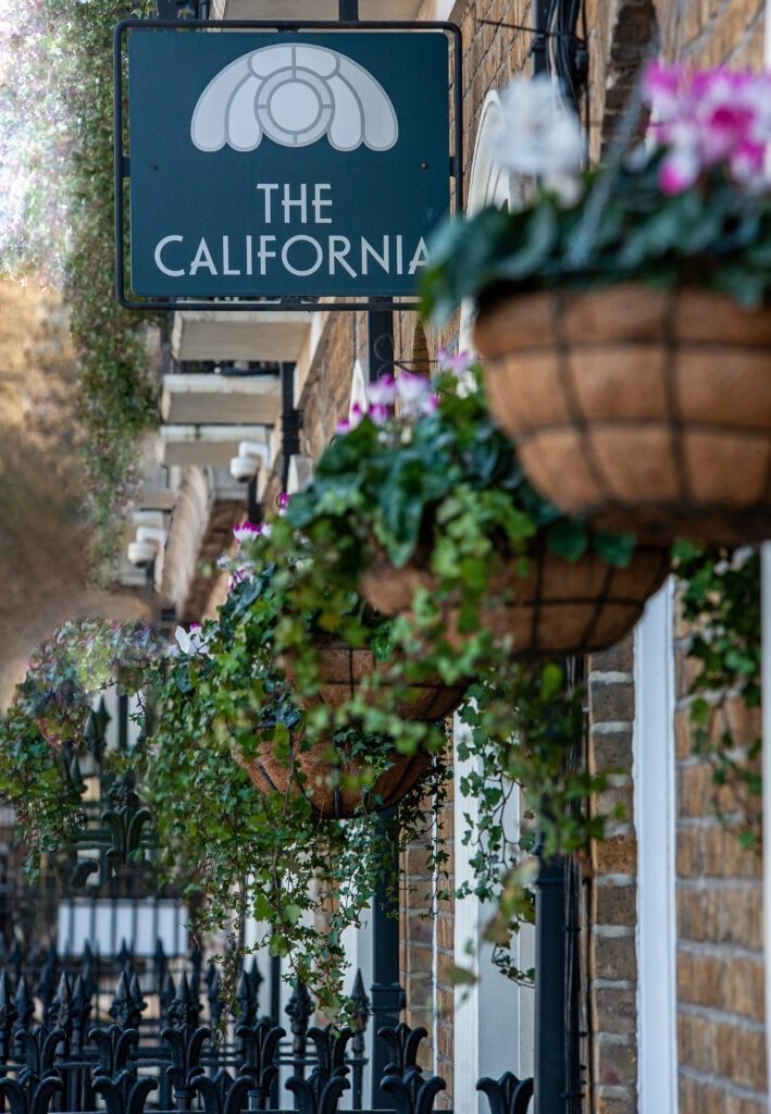 CALIFORNIA 24C 1